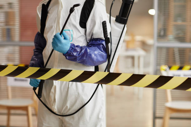 Professional Sewage Cleanup technician working in Dania, FL